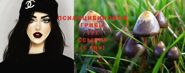 не бодяженный Белокуриха